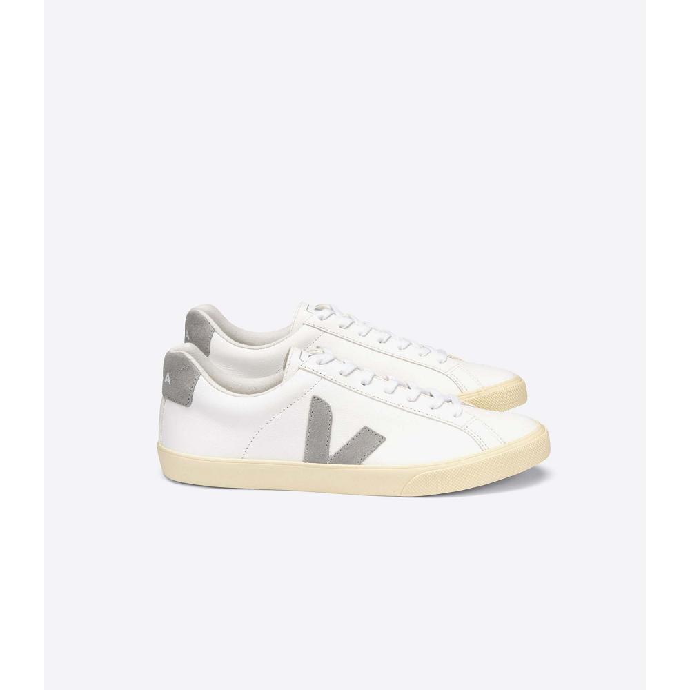 Veja ESPLAR CHROMEFREE Women\'s Sneakers White/Grey | CA 611MQZ